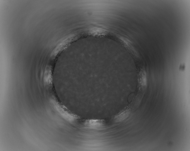 X0000113620622200909251208