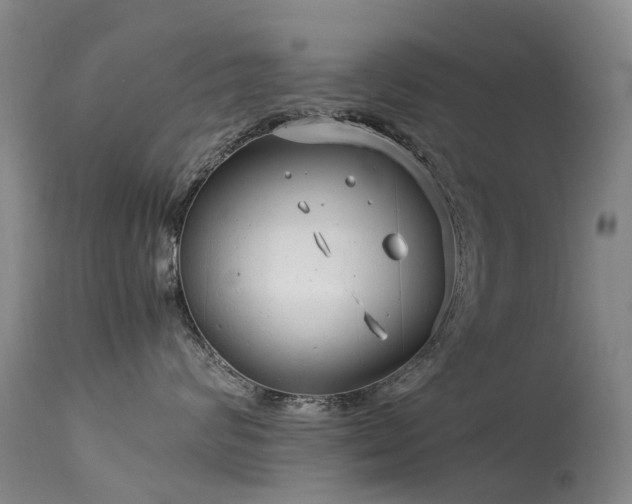 X0000113620624200909251208