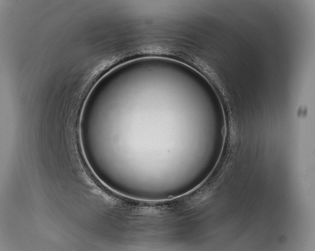 X0000113620625200909251207