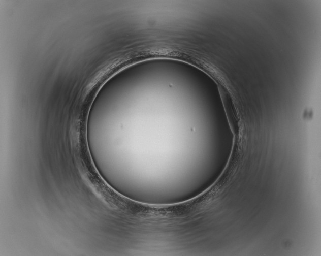 X0000113620626200909251207