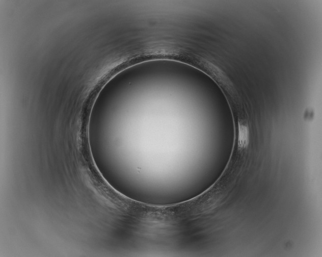 X0000113620627200909251207