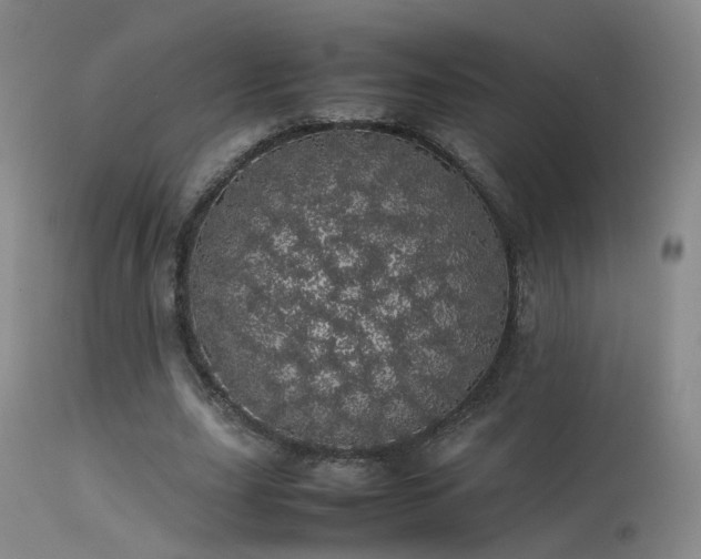 X0000113620631200909251207