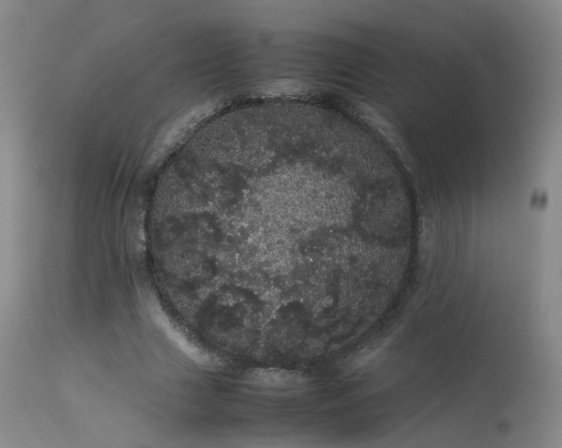 X0000113620633200909251207