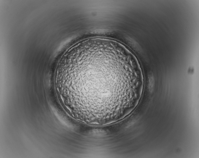 X0000113620636200909251207