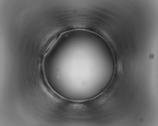 X0000113620637200909251207