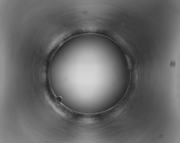 X0000113620638200909251207