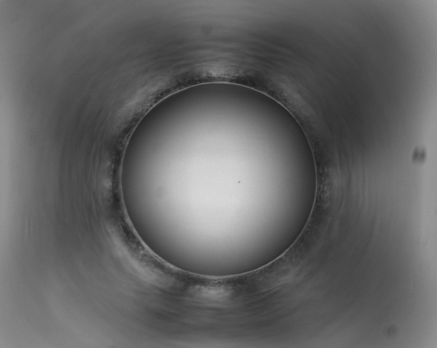 X0000113620639200909251207