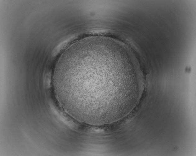 X0000113620640200909251207