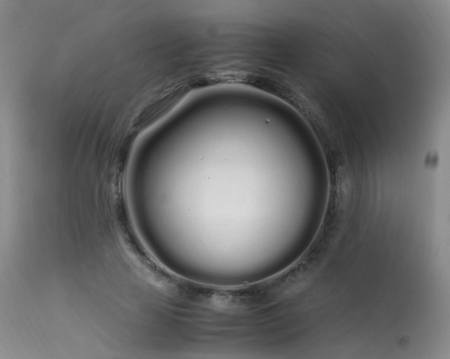 X0000113620641200909251207