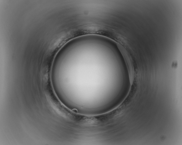 X0000113620642200909251207