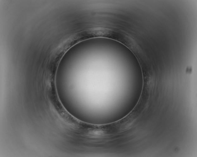 X0000113620643200909251207