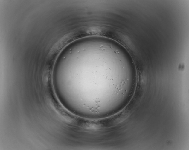 X0000113620645200909251207