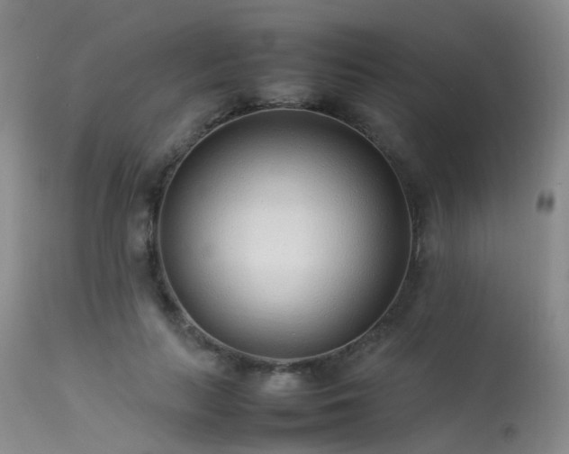 X0000113620647200909251207