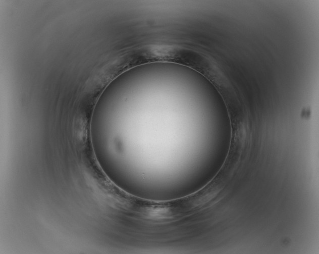 X0000113620651200909251207