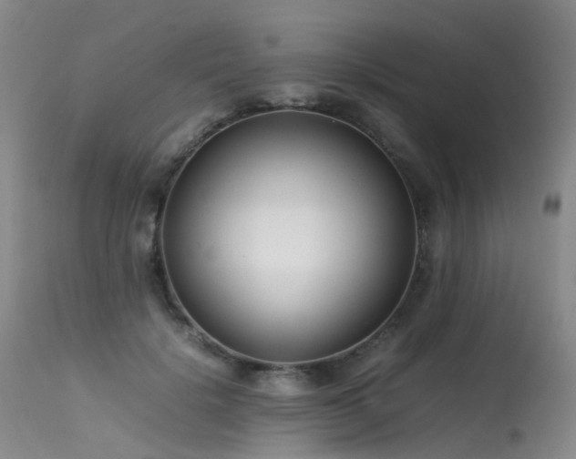 X0000113620652200909251207