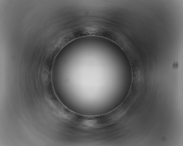 X0000113620653200909251207