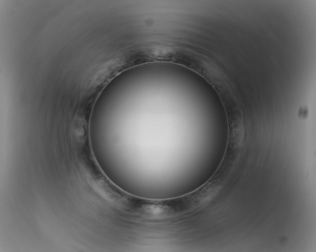 X0000113620654200909251207