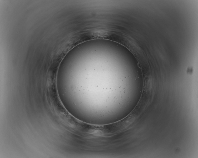 X0000113620655200909251207