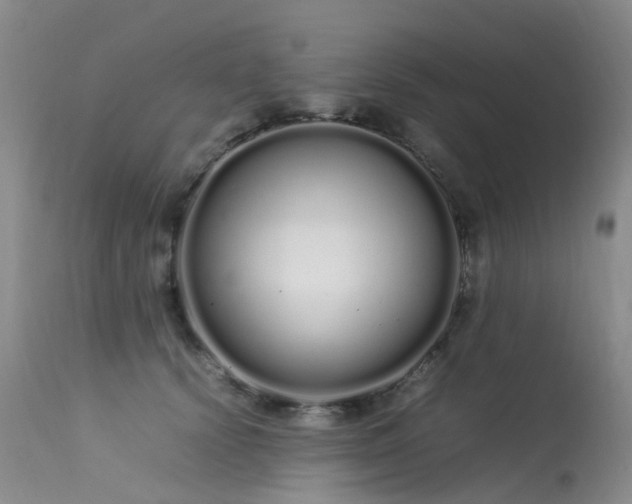 X0000113620656200909251207