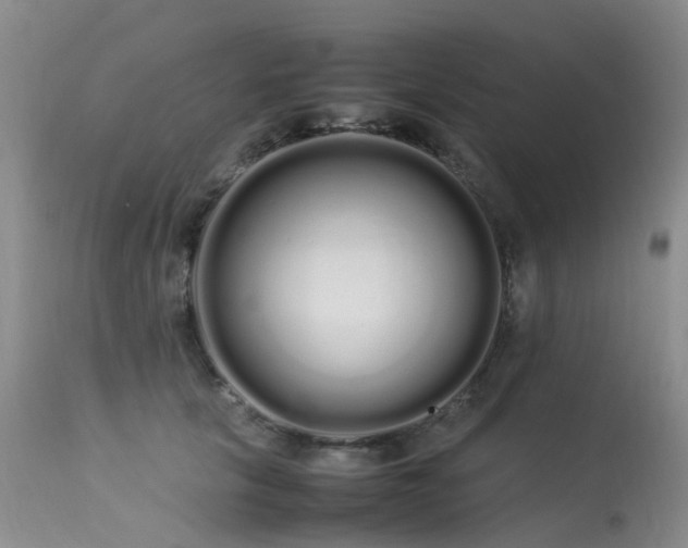 X0000113620657200909251207