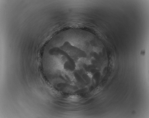 X0000113620659200909251208