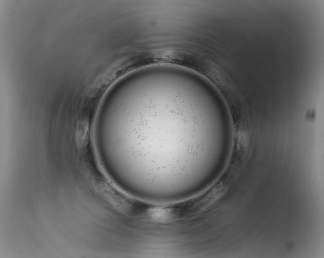 X0000113620660200909251208