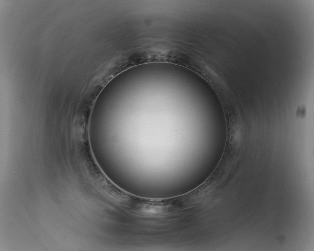 X0000113620661200909251208