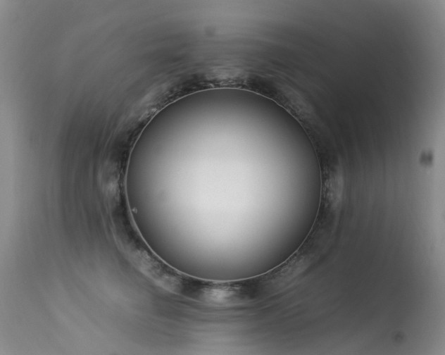 X0000113620662200909251208