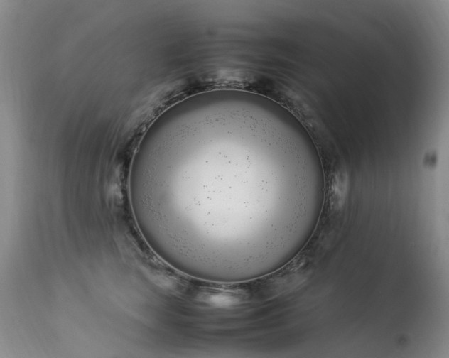 X0000113620663200909251208