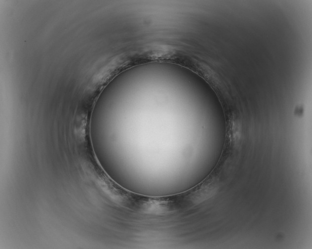 X0000113620664200909251208