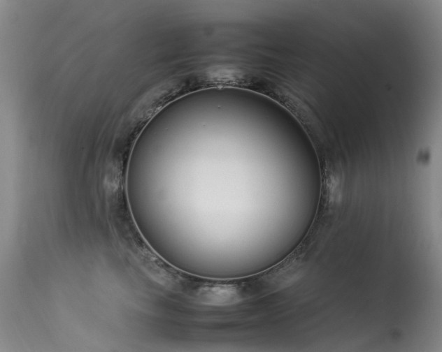 X0000113620665200909251208