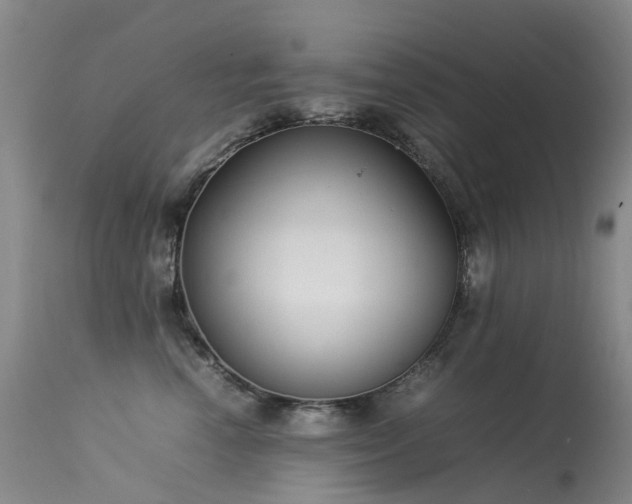 X0000113620666200909251208