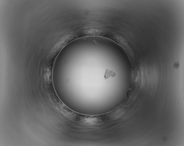 X0000113620669200909251208