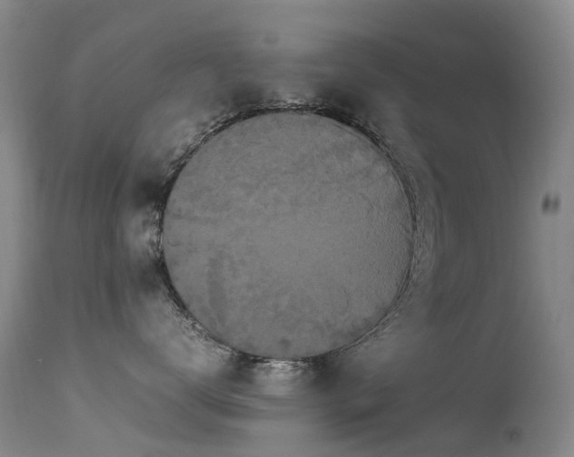 X0000113620672200909251208