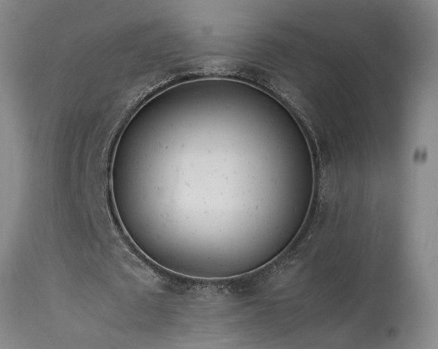 X0000113620673200909251207