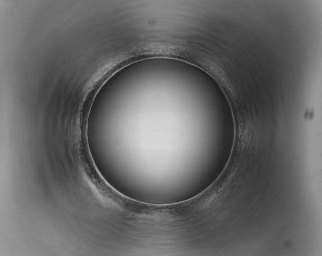 X0000113620674200909251207