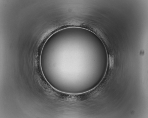 X0000113620675200909251207