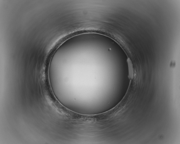 X0000113620676200909251207