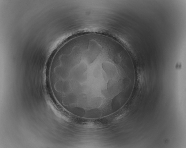 X0000113620678200909251207