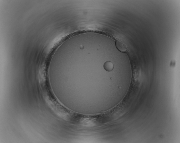 X0000113620680200909251207