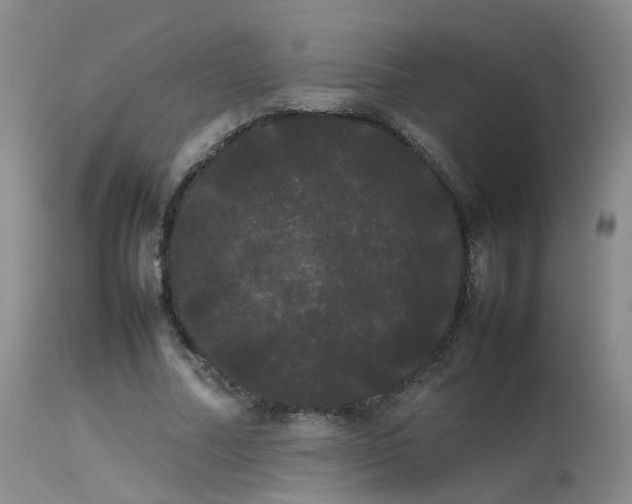 X0000113620682200909251207