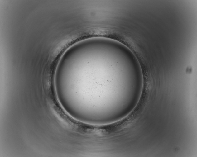 X0000113620683200909251207