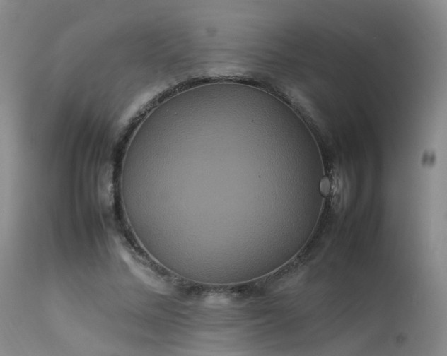 X0000113620684200909251207