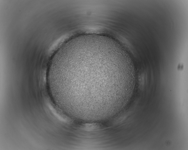 X0000113620686200909251207