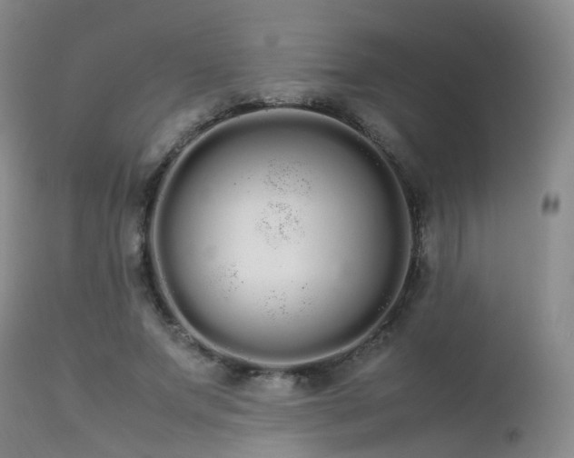 X0000113620687200909251207