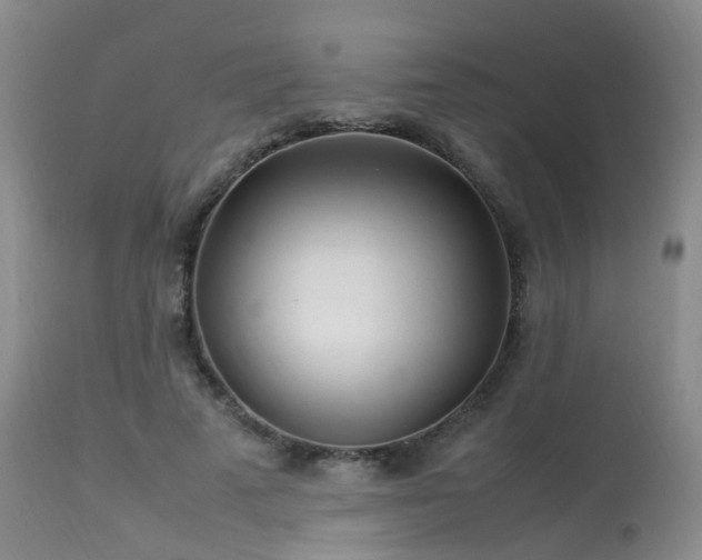 X0000113620689200909251207