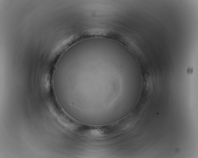 X0000113620692200909251207