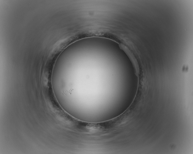 X0000113620693200909251207