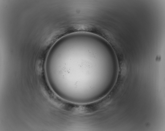 X0000113620695200909251207