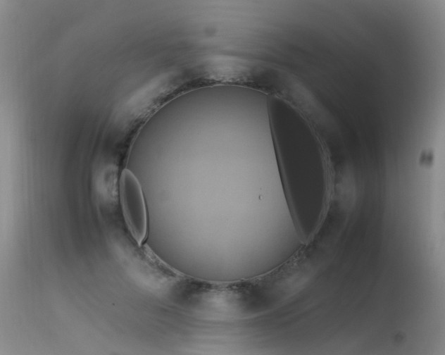 X0000113620696200909251207